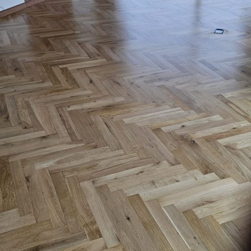 WhatsApp Image 2026-02-22 at 11.32.00