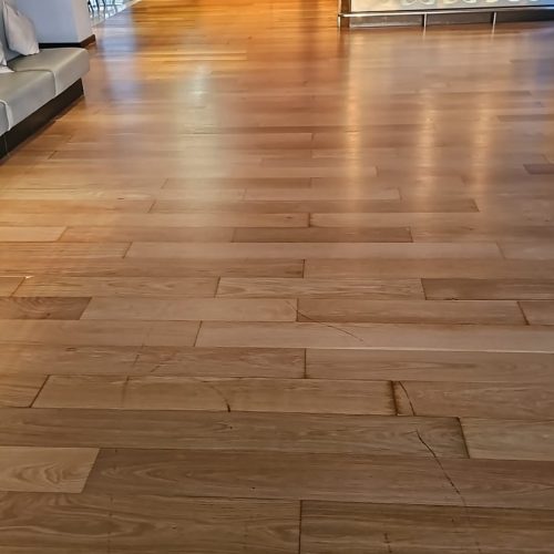 WhatsApp Image 2026-02-22 at 11.32.02 (1)