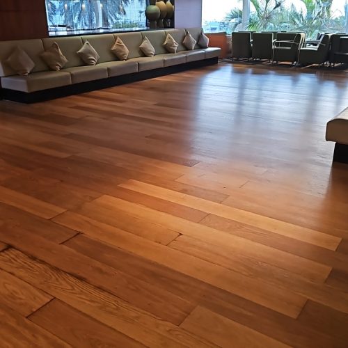 WhatsApp Image 2026-02-22 at 11.32.03