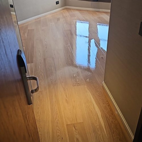 WhatsApp Image 2026-02-22 at 11.32.05 (1)